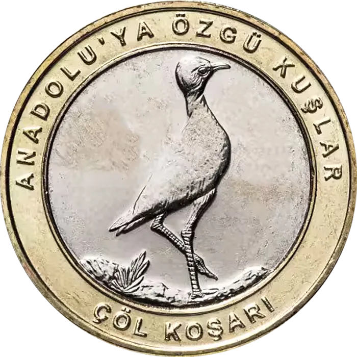 Çöl Koşarı